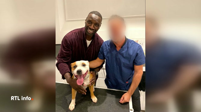 Omar Sy protégé par son chien lors d’un incident raciste avec les agents SNCF