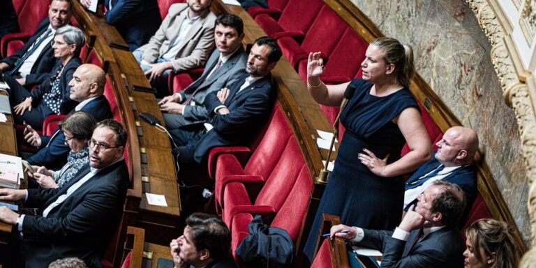 Le référendum selon LFI : une position selon les circonstances