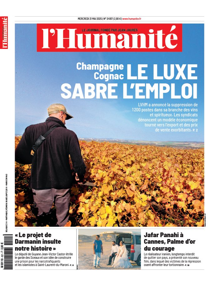 Sécurité nationale : le flou artistique sur l’impact des Frères musulmans
