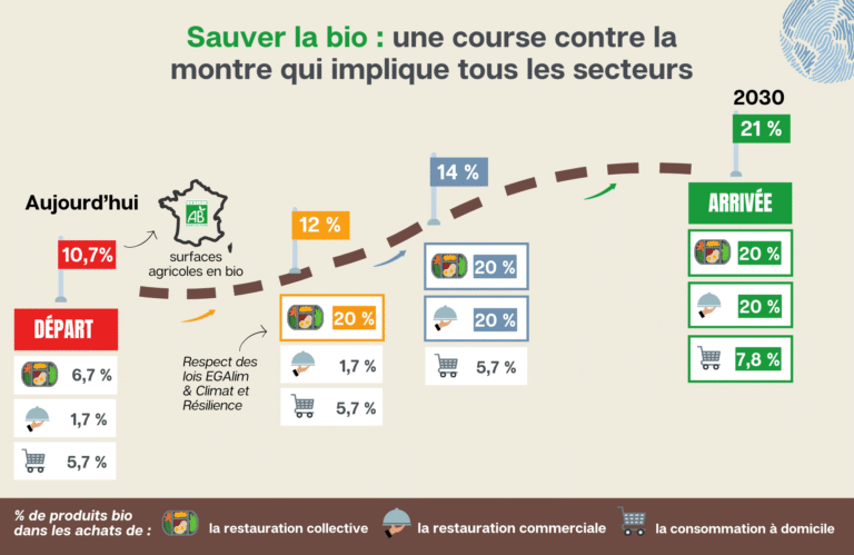 Trois Étapes Cruciales pour Sauver la France