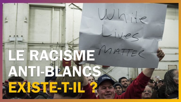 Le Racisme Anti-Blanc et les Débats Sociopolitiques en France