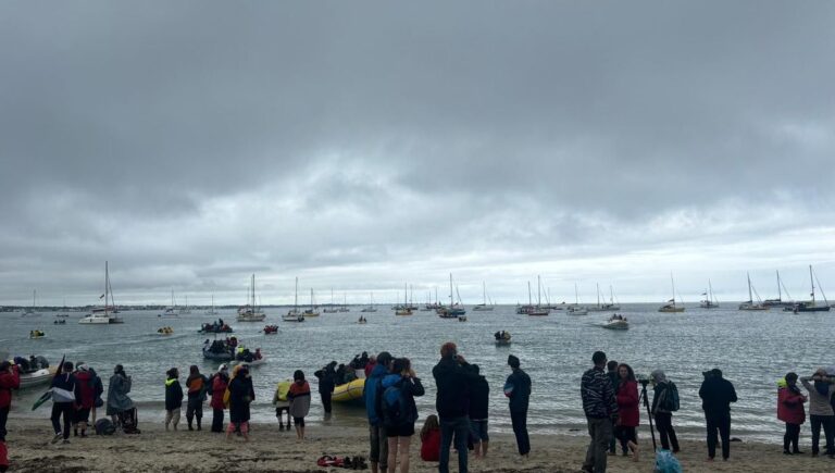 Manifestation en Mer Contre Bolloré: Des Centaines de Personnes Prendront Les Flots