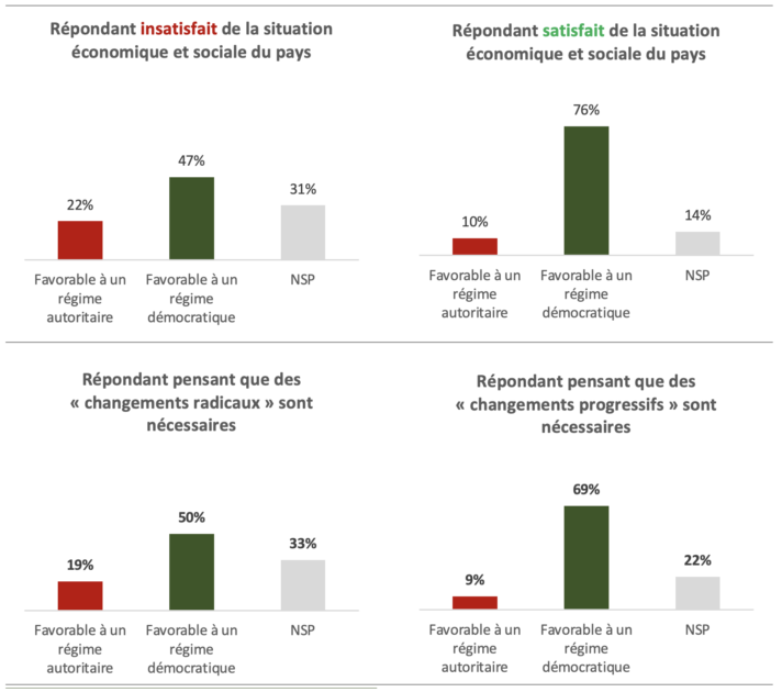 « Les dérives autoritaires et l’effondrement de la France »